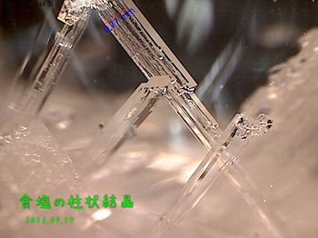 食塩の柱状結晶2.jpg
