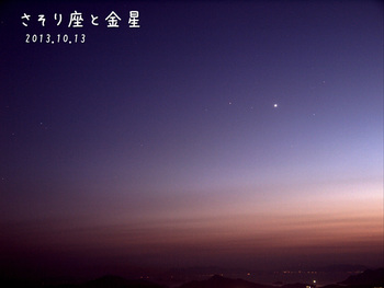 PA134519金星とサソリ・縮.jpg